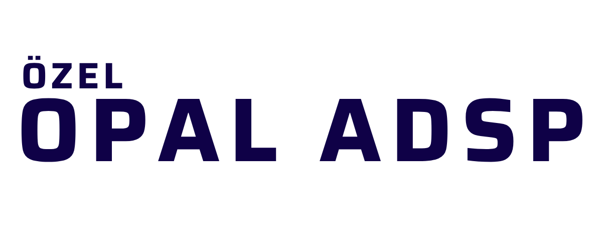 OPAL DENT DİŞ PROTEZ